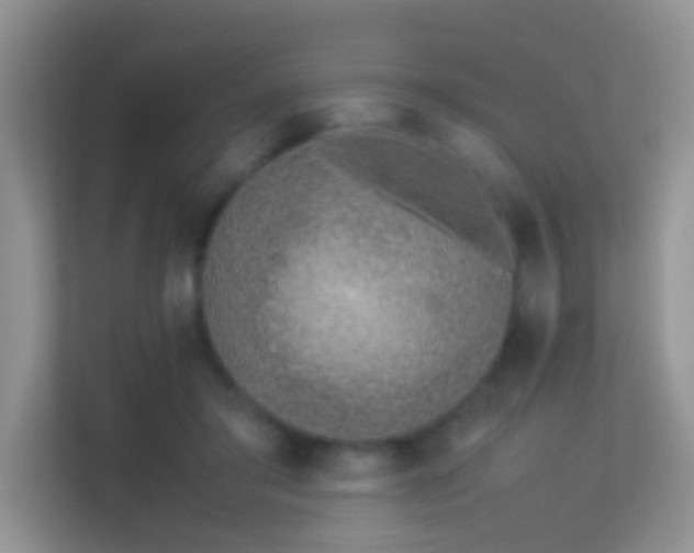 X0000113540405200909250930