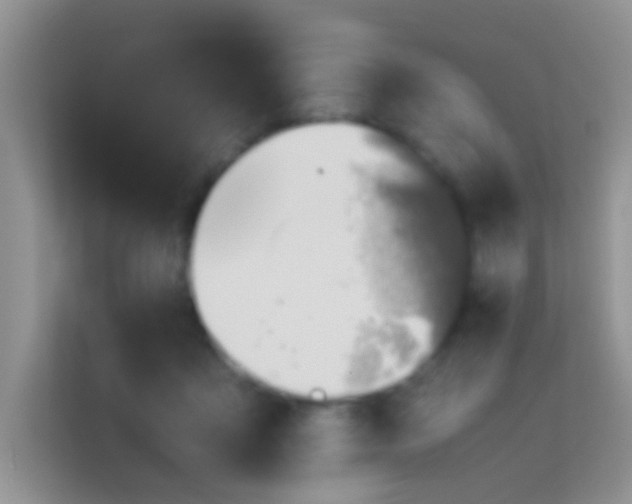 X0000113540411200909250930