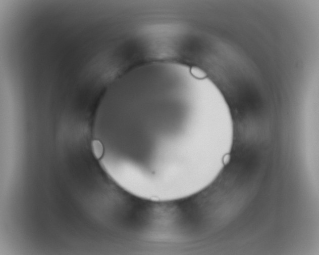 X0000113540415200909250930