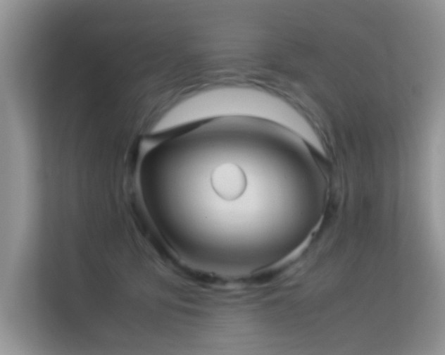 X0000113540419200909250930