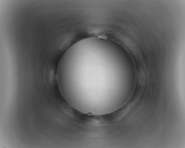 X0000113540420200909250930