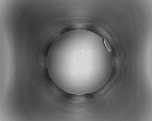 X0000113540421200909250930