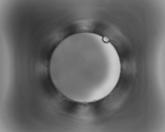 X0000113540423200909250930