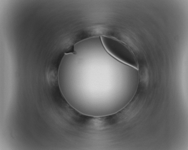 X0000113540425200909250930