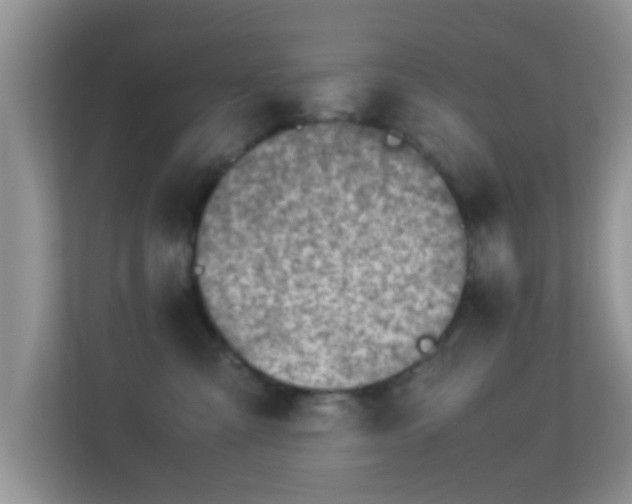 X0000113540427200909250930