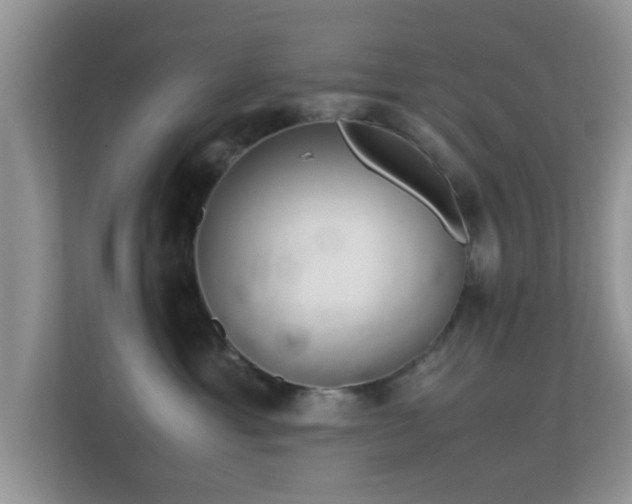 X0000113540429200909250930