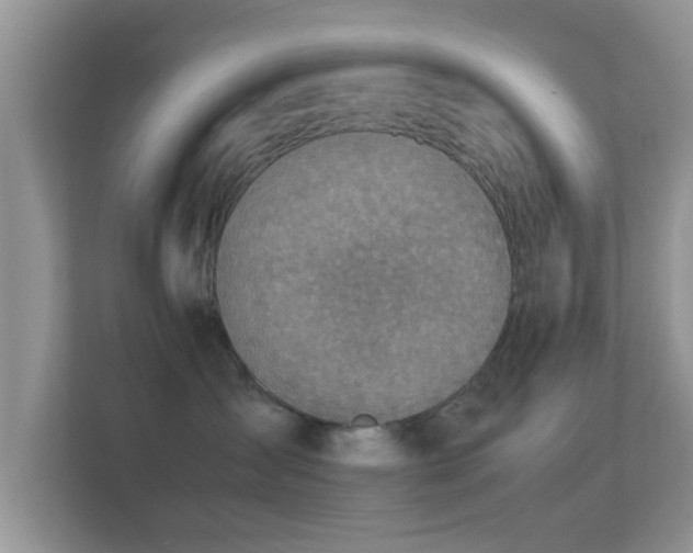 X0000113540431200909250930