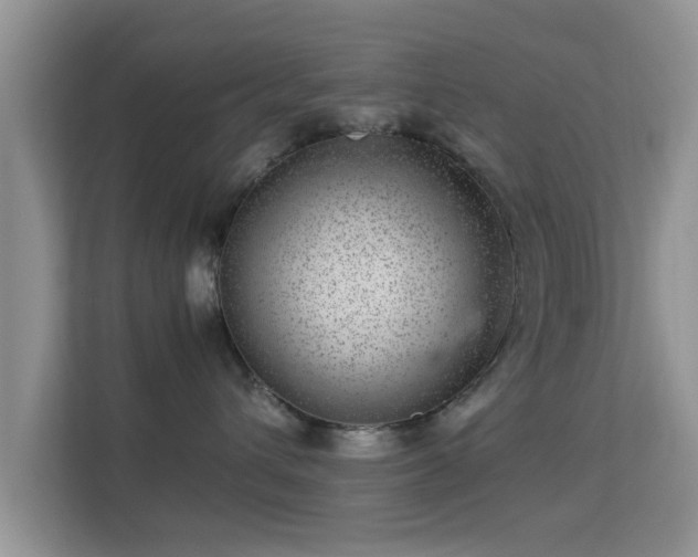 X0000113540432200909250930