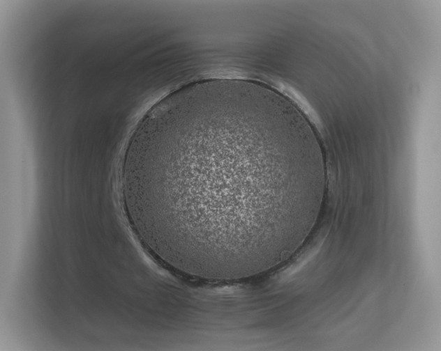 X0000113540433200909250929