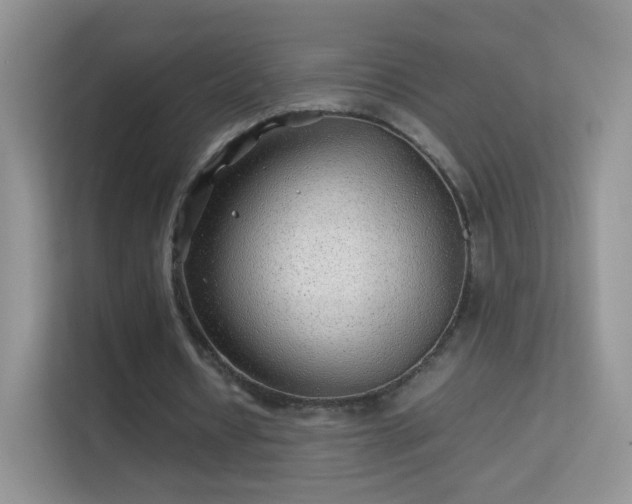 X0000113540434200909250929