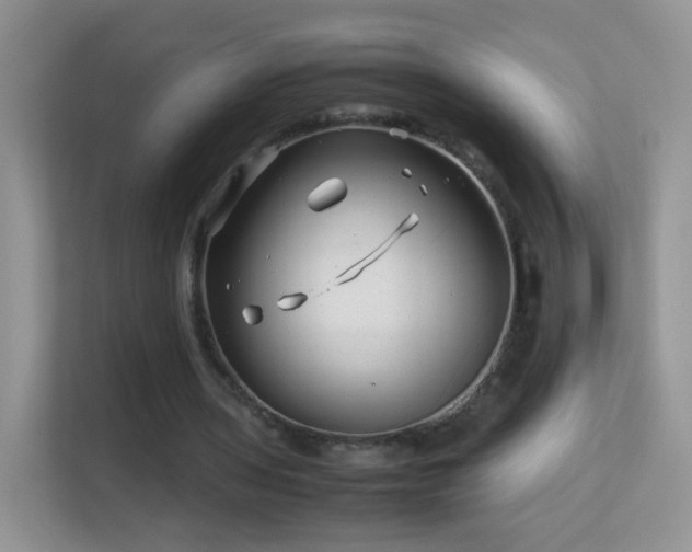 X0000113540435200909250929