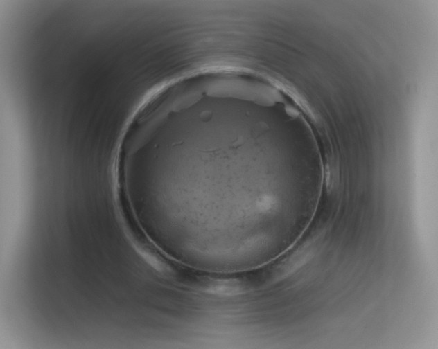 X0000113540438200909250929