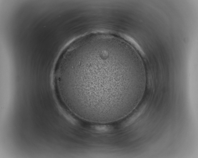 X0000113540439200909250929