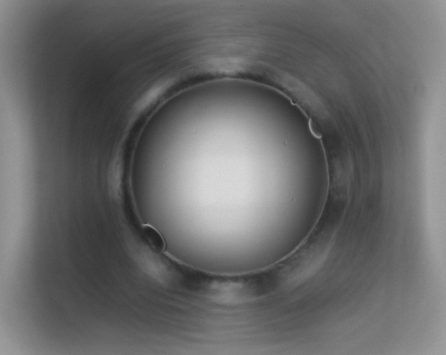 X0000113540440200909250929