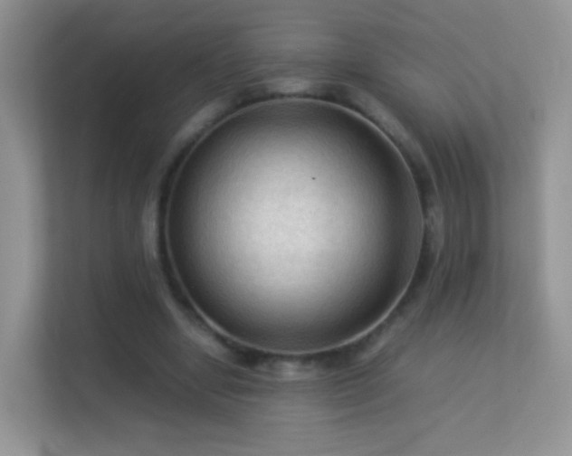 X0000113540442200909250929