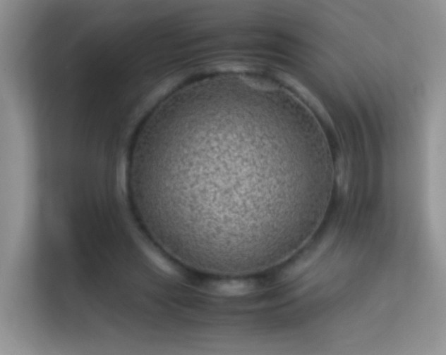 X0000113540445200909250930