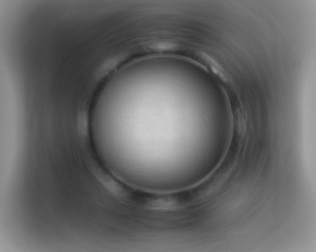 X0000113540447200909250930