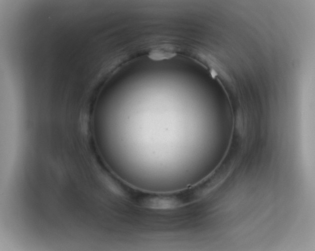 X0000113540449200909250930