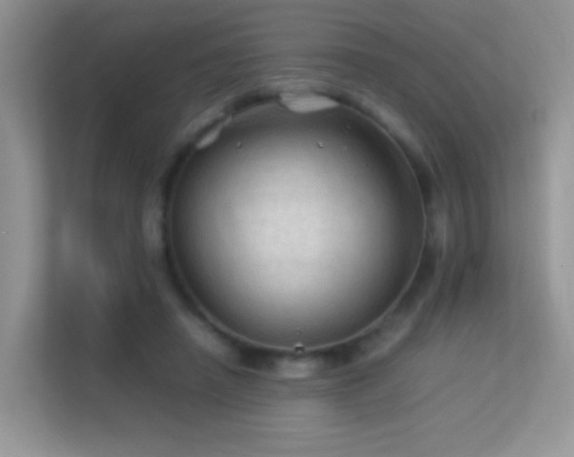 X0000113540450200909250930