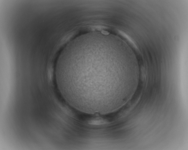 X0000113540451200909250930