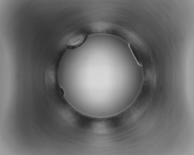 X0000113540452200909250930