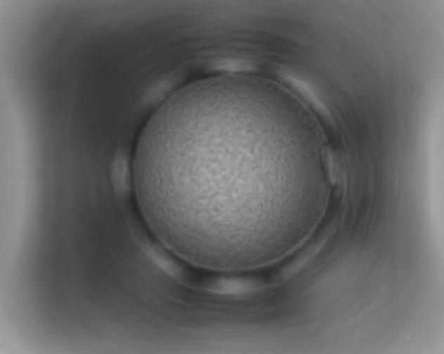 X0000113540453200909250930