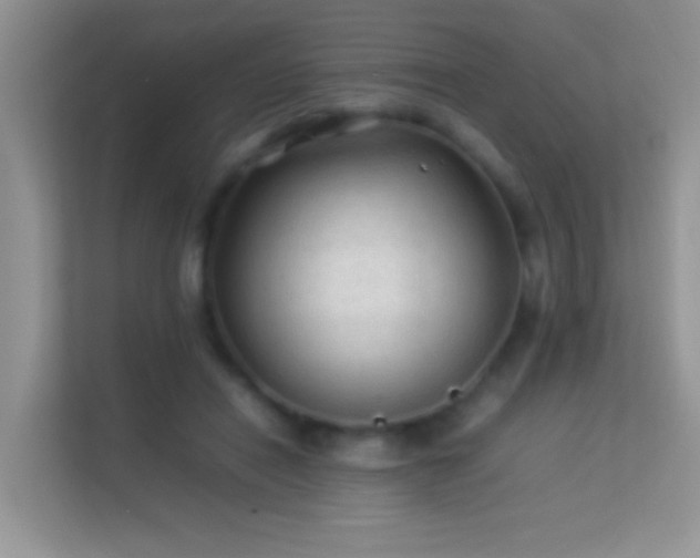 X0000113540454200909250930