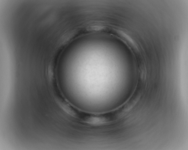 X0000113540455200909250930