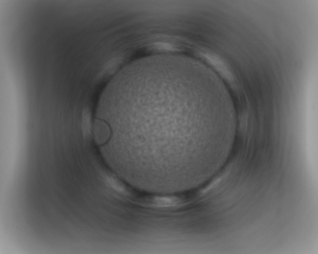 X0000113540457200909250930