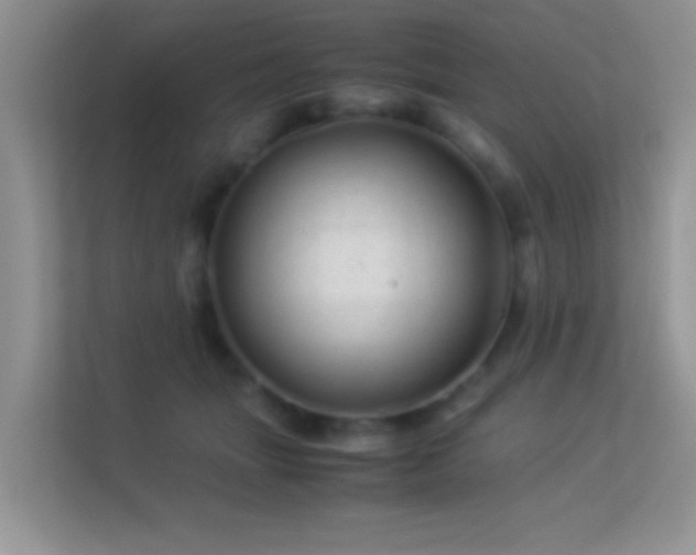 X0000113540463200909250930