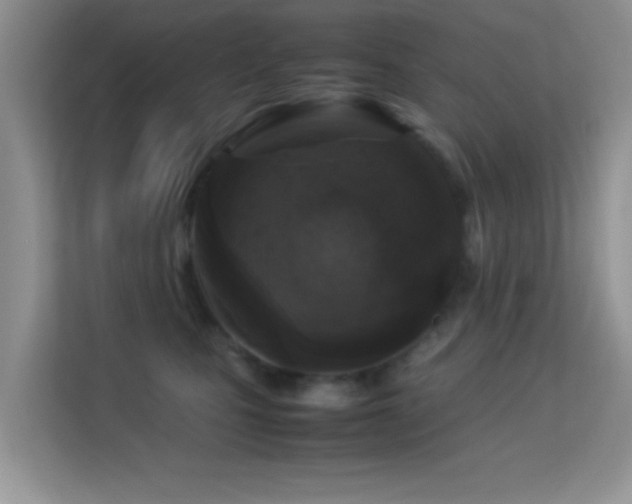 X0000113540471200909250930