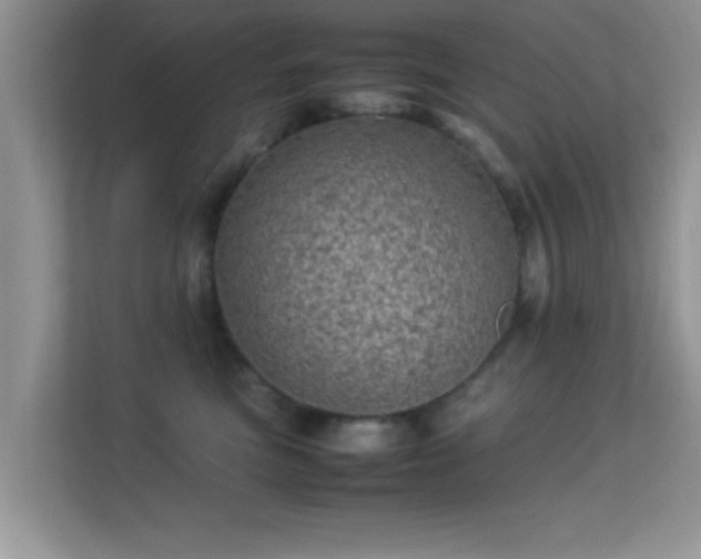 X0000113540473200909250930