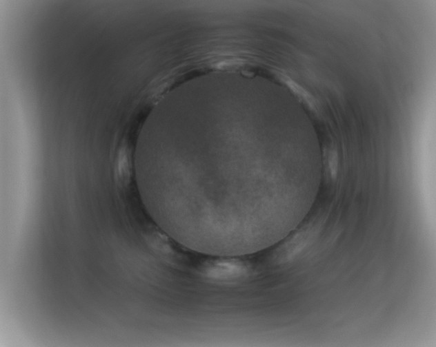 X0000113540475200909250930