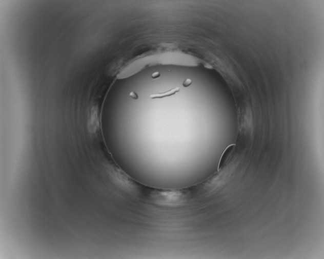 X0000113540478200909250930