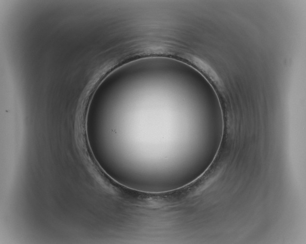 X0000113540481200909250929