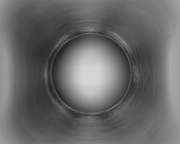 X0000113540482200909250929