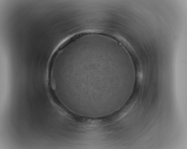 X0000113540484200909250929