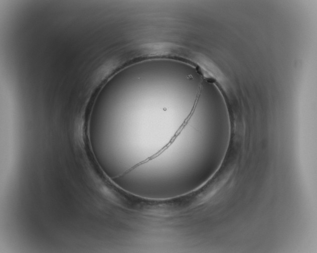 X0000113540485200909250929