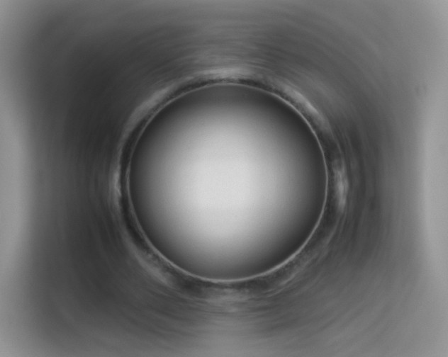 X0000113540486200909250929