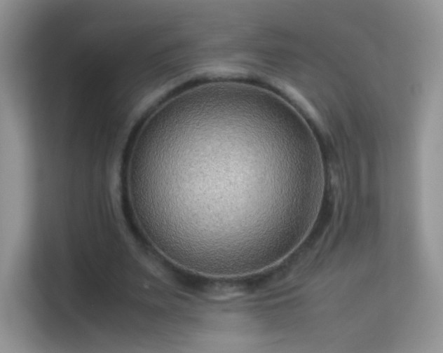 X0000113540487200909250929