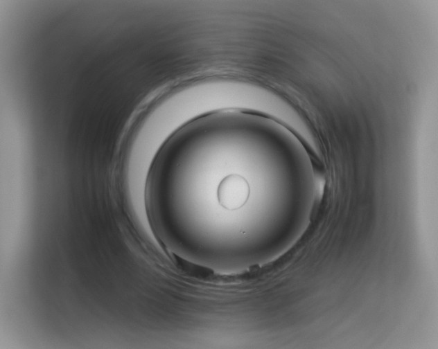 X0000113540488200909250929