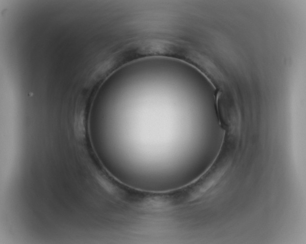 X0000113540489200909250929