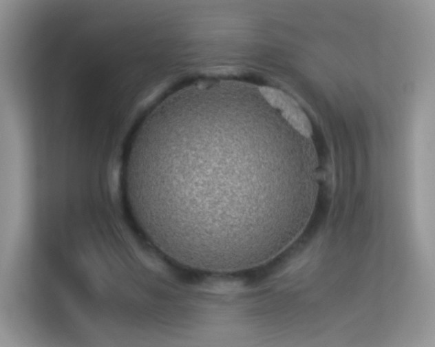 X0000113540491200909250929