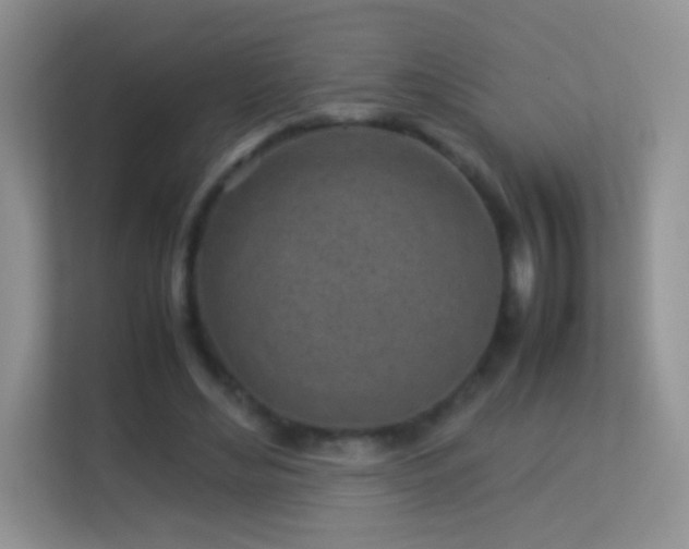 X0000113540492200909250929