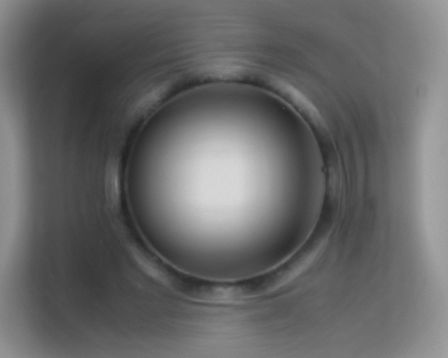 X0000113540493200909250929