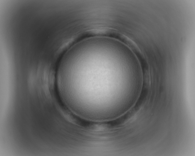 X0000113540495200909250929