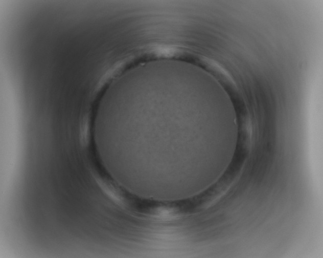 X0000113540496200909250929