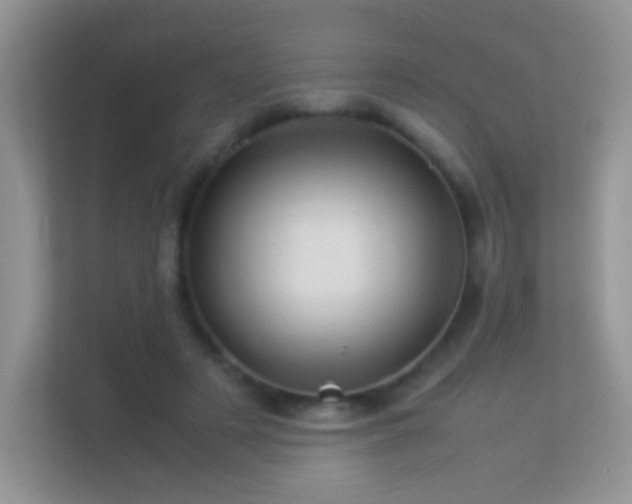 X0000113540497200909250929