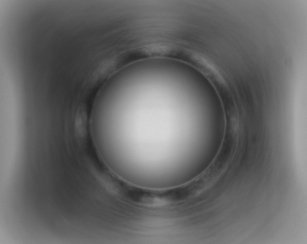 X0000113540498200909250929