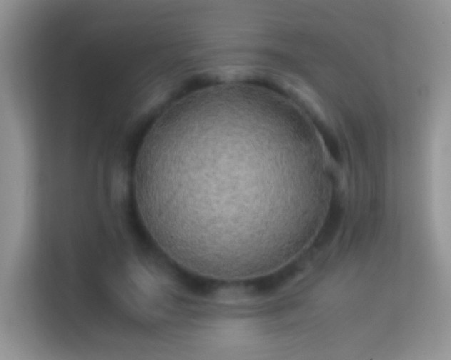 X0000113540499200909250929